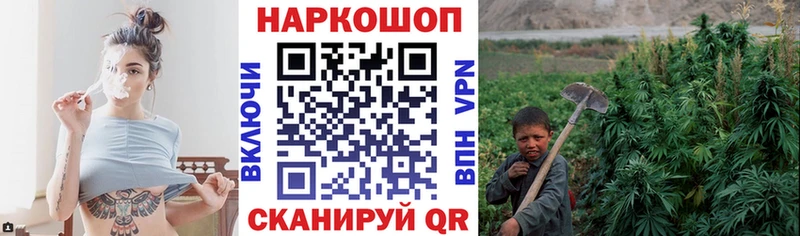 Магазины продажи наркотиков Лермонтов Альфа ПВП ОМГ ОМГ ГАШ Меф мяу мяу