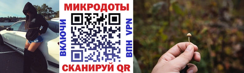 Псилоцибиновые грибы Psilocybe  Лермонтов 